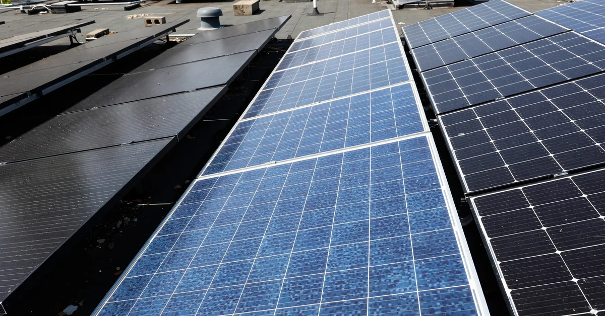 Rows of rooftop solar panels in Pakistan showing different brands and cell designs compared side by side